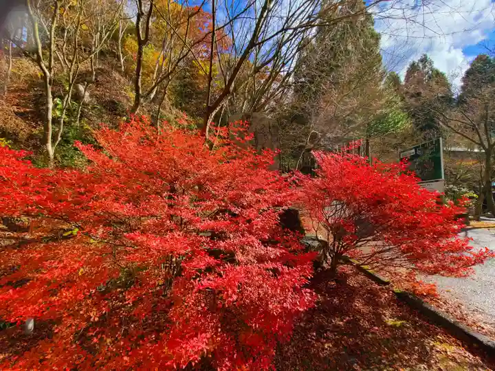 水子の寺文珠院地蔵寺の自然