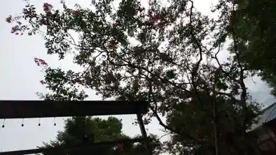 田中神社(京都府)