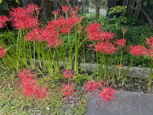 本光寺(東京都)