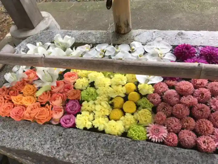 札幌伏見稲荷神社の手水舎