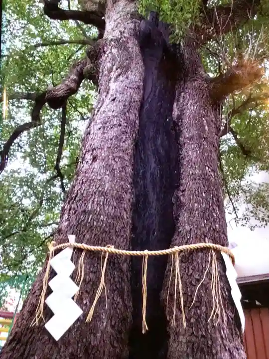 五方山熊野神社(東京都)