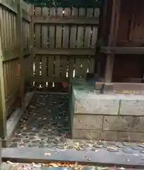 尾張大國霊神社（国府宮）の動物