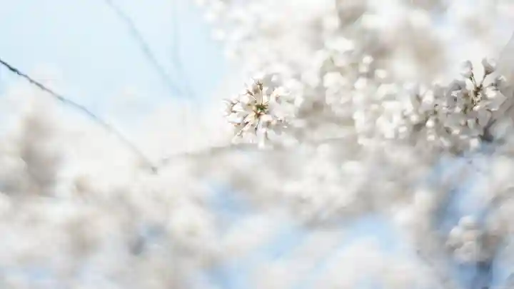 足羽神社(福井県)