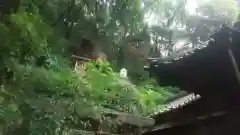 橿森神社(岐阜県)