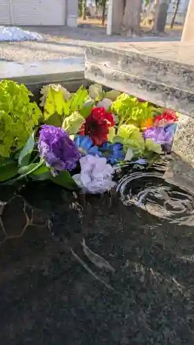 新琴似神社の{uncategorized: "未分類", other: "その他", undefined: "問題あり", building: "その他建物", grave: "お墓", sacred_gate: "鳥居", guardian: "狛犬", statue: "像", buddha: "仏像", history: "歴史", nature: "自然", garden: "庭園", animal: "動物", pagoda: "塔", temizu: "手水舎", mountain_gate: "山門・神門", sanctuary: "本殿・本堂", subordinate: "末社・摂社", art: "芸術", scenery: "景色", jizo: "地蔵", ema: "絵馬", goshuin: "御朱印", omikuji: "おみくじ", items: "授与品その他", amulet: "お守り", goshuincho: "御朱印帳", eats: "食事", festival: "お祭り", votive_dance: "神楽", shichigosan: "七五三参", wedding: "結婚式", experience: "体験その他", initially: "初詣", around: "周辺", anti_infection: "感染症対策"}