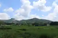 白鳥神社の周辺