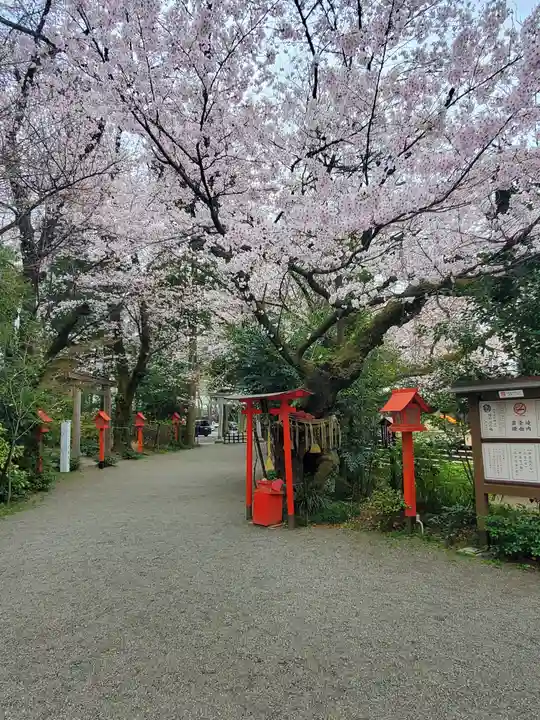 冠稲荷神社の自然