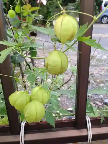 秩父神社(埼玉県)