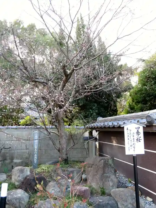 太閤山常泉寺の自然