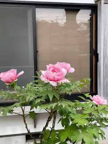 梅香寺(三重県)