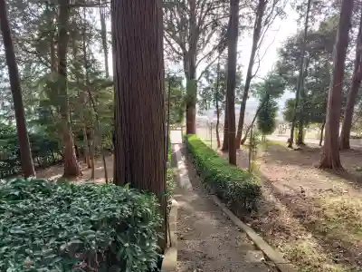 九社神社の{uncategorized: "未分類", other: "その他", undefined: "問題あり", building: "その他建物", grave: "お墓", sacred_gate: "鳥居", guardian: "狛犬", statue: "像", buddha: "仏像", history: "歴史", nature: "自然", garden: "庭園", animal: "動物", pagoda: "塔", temizu: "手水舎", mountain_gate: "山門・神門", sanctuary: "本殿・本堂", subordinate: "末社・摂社", art: "芸術", scenery: "景色", jizo: "地蔵", ema: "絵馬", goshuin: "御朱印", omikuji: "おみくじ", items: "授与品その他", amulet: "お守り", goshuincho: "御朱印帳", eats: "食事", festival: "お祭り", votive_dance: "神楽", shichigosan: "七五三参", wedding: "結婚式", experience: "体験その他", initially: "初詣", around: "周辺", anti_infection: "感染症対策"}