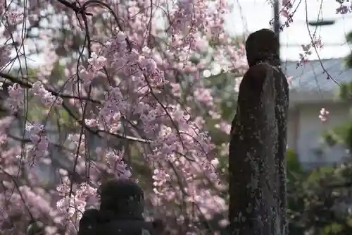 善福寺の地蔵