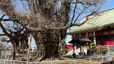 千葉寺(千葉県)