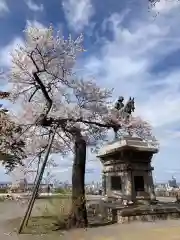 宮城縣護國神社の周辺