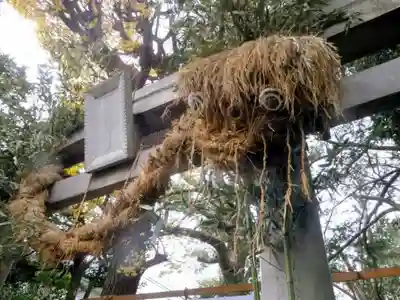 奥澤神社(東京都)