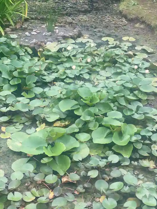 感通寺(東京都)