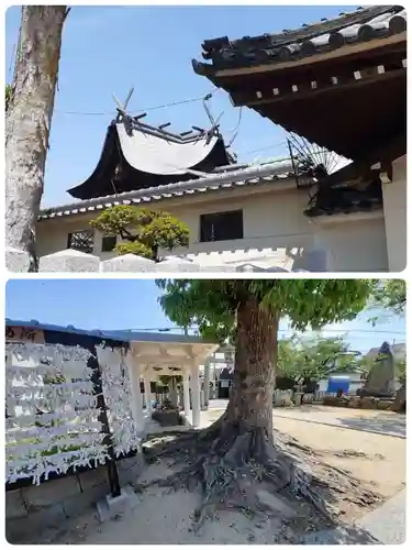 瓜破天神社(大阪府)