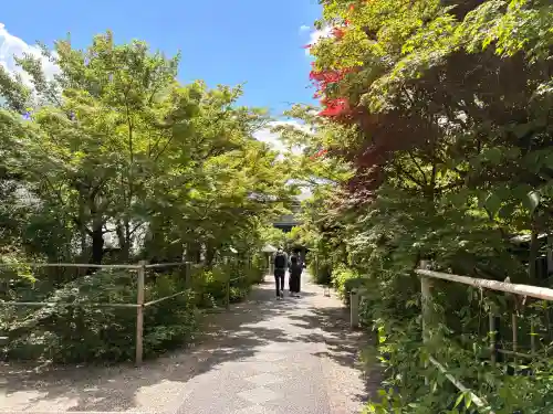 梨木神社の{uncategorized: "未分類", other: "その他", undefined: "問題あり", building: "その他建物", grave: "お墓", sacred_gate: "鳥居", guardian: "狛犬", statue: "像", buddha: "仏像", history: "歴史", nature: "自然", garden: "庭園", animal: "動物", pagoda: "塔", temizu: "手水舎", mountain_gate: "山門・神門", sanctuary: "本殿・本堂", subordinate: "末社・摂社", art: "芸術", scenery: "景色", jizo: "地蔵", ema: "絵馬", goshuin: "御朱印", omikuji: "おみくじ", items: "授与品その他", amulet: "お守り", goshuincho: "御朱印帳", eats: "食事", festival: "お祭り", votive_dance: "神楽", shichigosan: "七五三参", wedding: "結婚式", experience: "体験その他", initially: "初詣", around: "周辺", anti_infection: "感染症対策"}