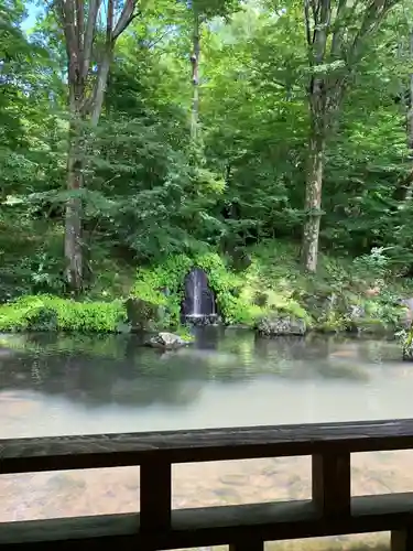 青龍山 吉祥寺の庭園