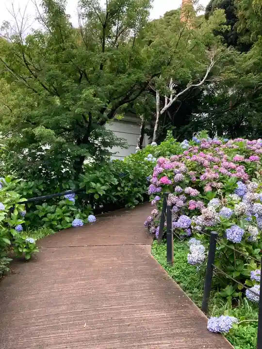 本土寺(千葉県)