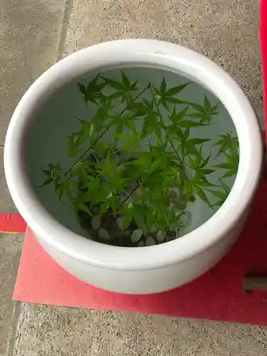 徳島眉山天神社の手水舎