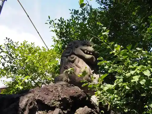 御霊神社の狛犬