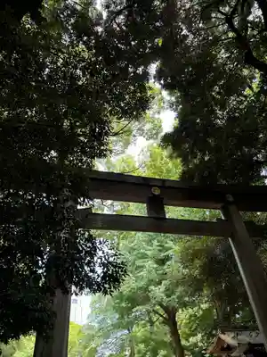 明治神宮(東京都)