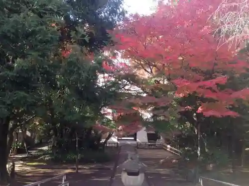 大正寺の庭園