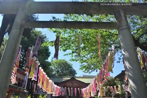 くまくま神社(導きの社 熊野町熊野神社)(東京都)