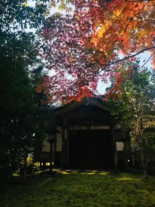 熊野本宮大社の自然