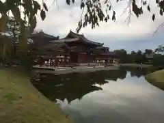 平等院の庭園