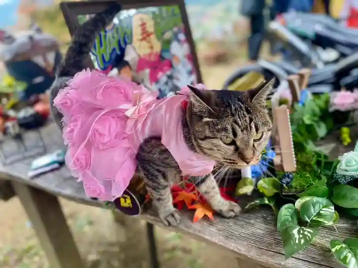 正一位 若草稲荷神社(宮城県)