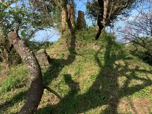 船塚神社の自然