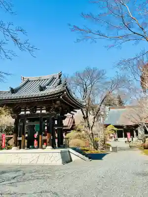 妙徳寺の{uncategorized: "未分類", other: "その他", undefined: "問題あり", building: "その他建物", grave: "お墓", sacred_gate: "鳥居", guardian: "狛犬", statue: "像", buddha: "仏像", history: "歴史", nature: "自然", garden: "庭園", animal: "動物", pagoda: "塔", temizu: "手水舎", mountain_gate: "山門・神門", sanctuary: "本殿・本堂", subordinate: "末社・摂社", art: "芸術", scenery: "景色", jizo: "地蔵", ema: "絵馬", goshuin: "御朱印", omikuji: "おみくじ", items: "授与品その他", amulet: "お守り", goshuincho: "御朱印帳", eats: "食事", festival: "お祭り", votive_dance: "神楽", shichigosan: "七五三参", wedding: "結婚式", experience: "体験その他", initially: "初詣", around: "周辺", anti_infection: "感染症対策"}