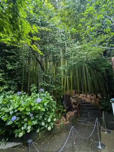 報国寺(神奈川県)