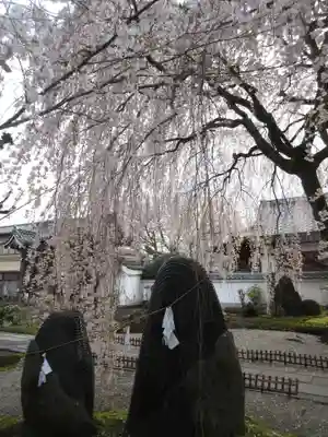 本満寺(本願満足寺)のその他建物