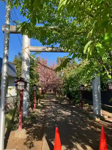 橿原神社の{uncategorized: "未分類", other: "その他", undefined: "問題あり", building: "その他建物", grave: "お墓", sacred_gate: "鳥居", guardian: "狛犬", statue: "像", buddha: "仏像", history: "歴史", nature: "自然", garden: "庭園", animal: "動物", pagoda: "塔", temizu: "手水舎", mountain_gate: "山門・神門", sanctuary: "本殿・本堂", subordinate: "末社・摂社", art: "芸術", scenery: "景色", jizo: "地蔵", ema: "絵馬", goshuin: "御朱印", omikuji: "おみくじ", items: "授与品その他", amulet: "お守り", goshuincho: "御朱印帳", eats: "食事", festival: "お祭り", votive_dance: "神楽", shichigosan: "七五三参", wedding: "結婚式", experience: "体験その他", initially: "初詣", around: "周辺", anti_infection: "感染症対策"}