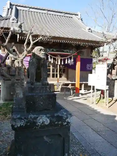 龍ケ崎八坂神社の狛犬