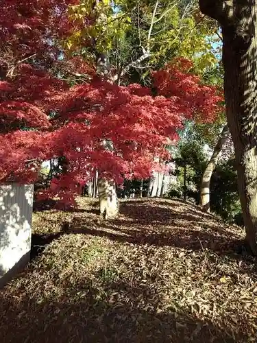 西勝院の庭園