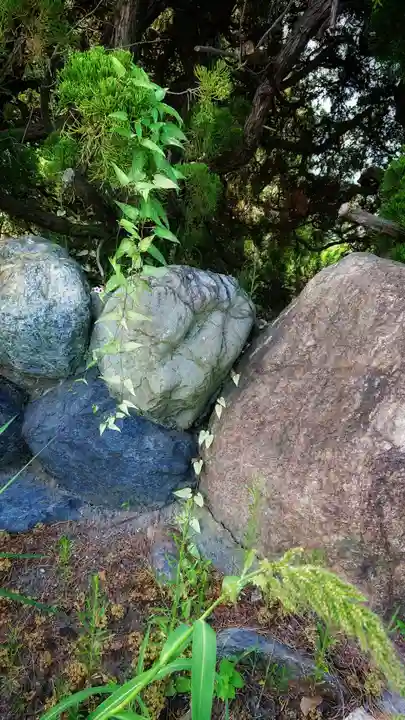 八龍社(稲島)の自然