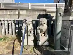 白山神社の狛犬