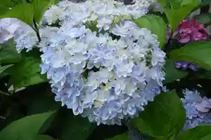 十日恵比須神社(福岡県)(2025年06月06日(金) 06時35分20秒投稿)