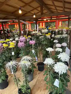 武蔵一宮氷川神社(埼玉県)
