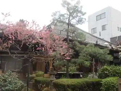 瑞泉寺(京都府)