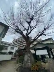 二宮神社(兵庫県)