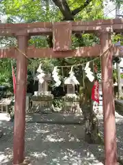 五泉八幡宮の鳥居