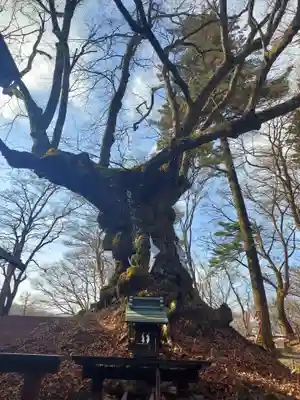 熊野皇大神社(長野県)