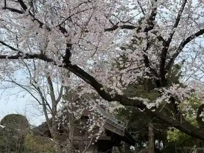中院の{uncategorized: "未分類", other: "その他", undefined: "問題あり", building: "その他建物", grave: "お墓", sacred_gate: "鳥居", guardian: "狛犬", statue: "像", buddha: "仏像", history: "歴史", nature: "自然", garden: "庭園", animal: "動物", pagoda: "塔", temizu: "手水舎", mountain_gate: "山門・神門", sanctuary: "本殿・本堂", subordinate: "末社・摂社", art: "芸術", scenery: "景色", jizo: "地蔵", ema: "絵馬", goshuin: "御朱印", omikuji: "おみくじ", items: "授与品その他", amulet: "お守り", goshuincho: "御朱印帳", eats: "食事", festival: "お祭り", votive_dance: "神楽", shichigosan: "七五三参", wedding: "結婚式", experience: "体験その他", initially: "初詣", around: "周辺", anti_infection: "感染症対策"}