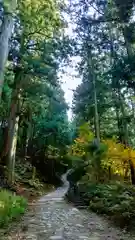 金峯神社(奈良県)