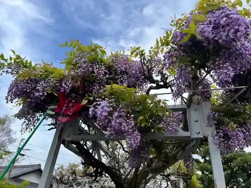 善名称院（真田庵）(和歌山県)